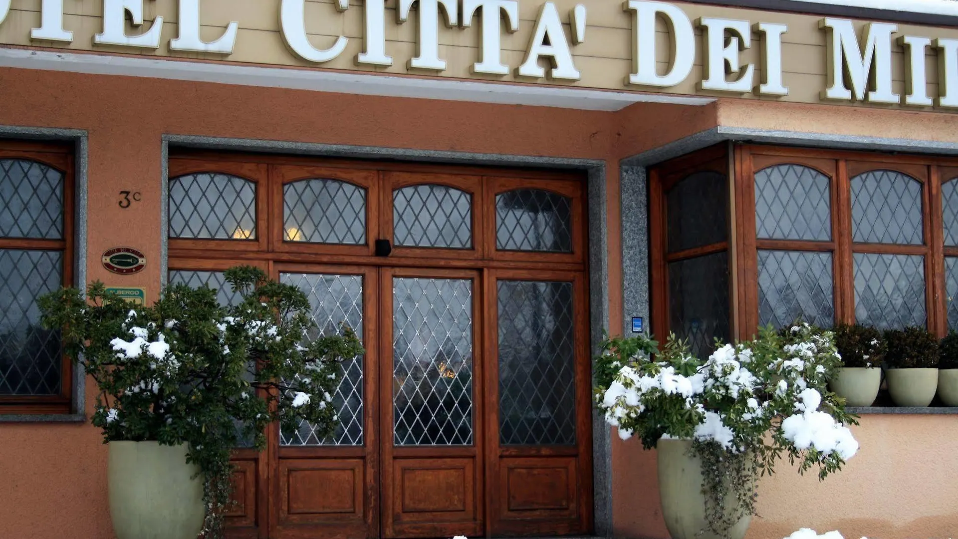 ברגמו Hotel Citta Dei Mille 3*,